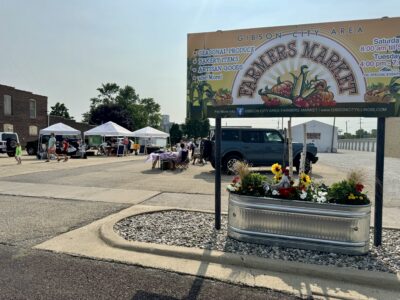 Gibson City working to grow downtown farmers market
