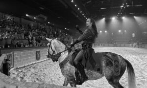 This was among the sights from Medieval Times in Schaumburg on Wednesday, Nov. 19, when Paxton-Buckley-Loda Junior High School seventh-graders embarked on an educational field trip there. Courtesy of the Paxton-Buckley-Loda school district